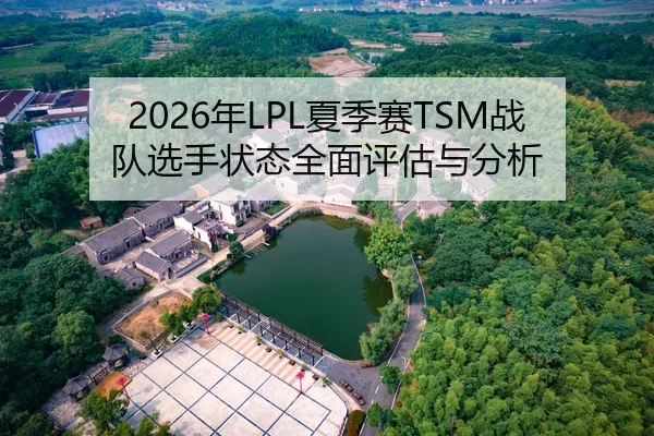 2026年LPL夏季赛TSM战队选手状态全面评估与分析