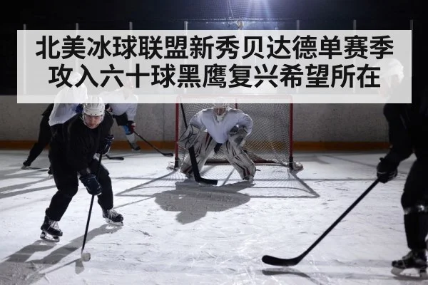 北美冰球联盟新秀贝达德单赛季攻入六十球黑鹰复兴希望所在
